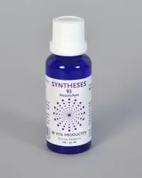 Vita Syntheses 95 mesenchym