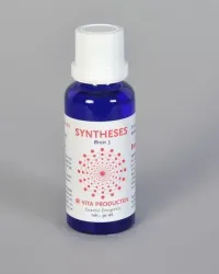 Vita Syntheses bron 5 existentie