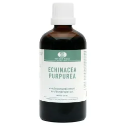 Van der Pigge Echinacea purpurea