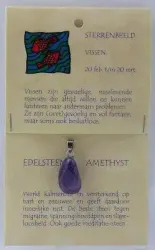 Steengoed Sterrenbeeldsteen hanger vissen