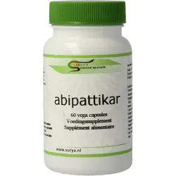 Surya Abipattikar surya