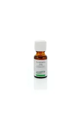 Ginkel's Eucalyptusolie 80-85%