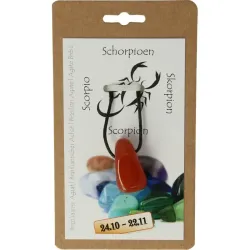 Steengoed Sterrenbeeldhanger schorpioen