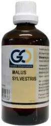 GO Malus sylvestris bio
