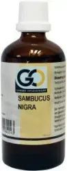GO Sambucus nigra bio