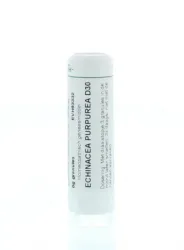 Homeoden Heel Echinacea purpurea D30