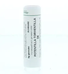Homeoden Heel Potentilla tormentilla D6