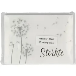 Spruyt Hillen Condoleance kaart & envelop SH