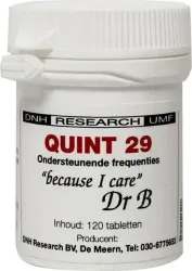 DNH Quint 29