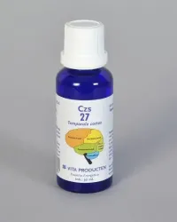 Vita CZS 27 Temporale cortex