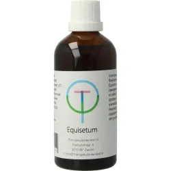 TW Equisetum