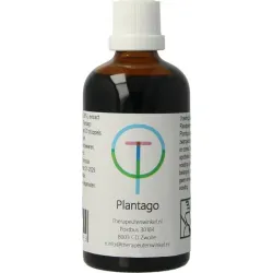 TW Plantago lanceolata