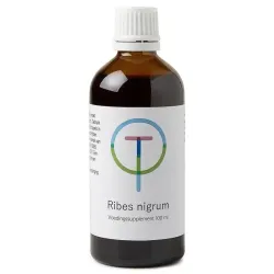 TW Ribes nigrum zwarte bes