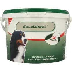 Primeval Gelatinaat hond