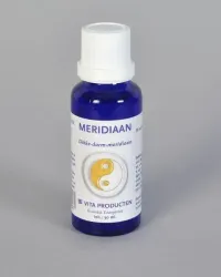 Vita Meridiaan dikke darm meridiaan
