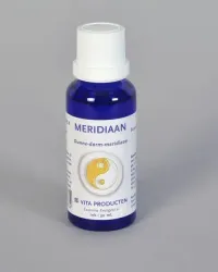 Vita Meridiaan dunne darm meridiaan
