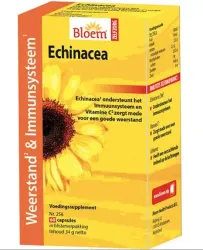 Bloem Echinacea extra