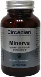 Circadian Minerva