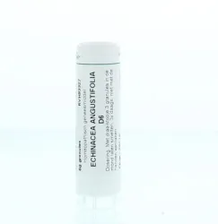 Homeoden Heel Echinacea angustifolia D6