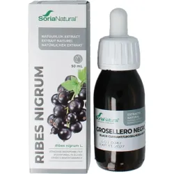 Soria Natural Ribes nigrum extract XXI