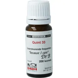 DNH Quint 33
