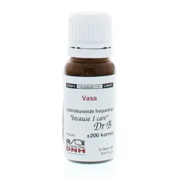 DNH Vasa