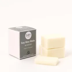 Soylites Soja wax melts wisdom