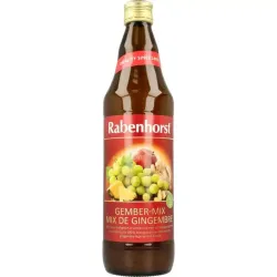 Rabenhorst Ginger mix bio