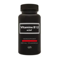 Apb Holland Vitamine B12 actief 2000mcg