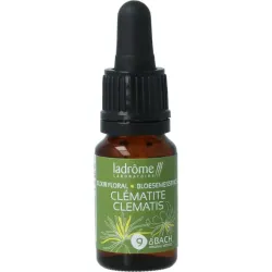 Ladrome Clematis bio