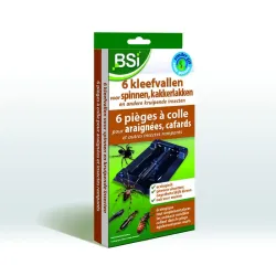 BSI Kleefvallen voor spinnen