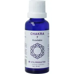 Vita Chakra 7 kruinchakra (paars)