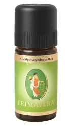 Primavera Eucalyptus globulus bio