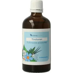 Balance Pharma Echinacea purpurea L. tincturen
