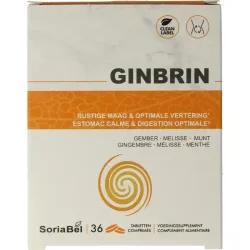 Soriabel Ginbrin