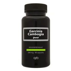 Apb Holland Garcinia cambogia 290mg puur