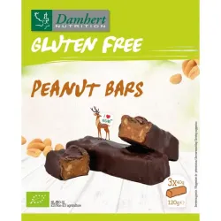 Damhert Peanut bars glutenvrij bio
