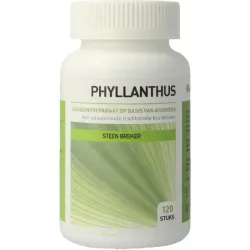Ayurveda Health Phyllanthus niruri
