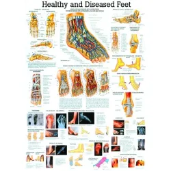 Poster Voet 70 x 100 cm