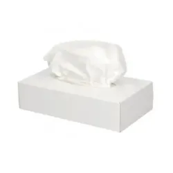 Facial Tissue 2-laags 100 stuks