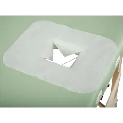 Facecover 27 x 35 cm 200 stuks