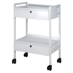 Werkwagen de luxe met 2 lade