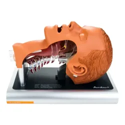 Ambu Airway management trainer