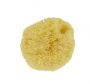Forsters Natuur spons caribbean medium/ small