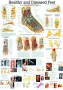 Poster  Voet 70 x 100 cm 