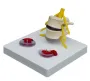 Skelet hernia model op statief [ A208] 