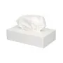 Facial  Tissue 2-laags 100 stuks 