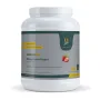 Whey Protein Support  Strawberry 1000 gram 