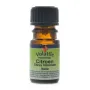 Volatile Citroen,  Italie 10ml 