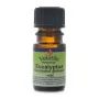 Volatile Eucalyptus, Wild 100ml 